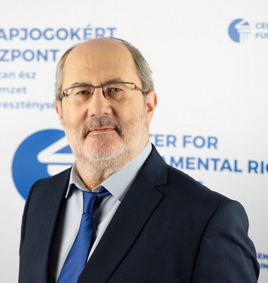 FRICZ Tamás, Kutatási tanácsadó