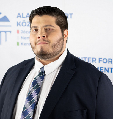 DORNFELD László, Vezető elemző